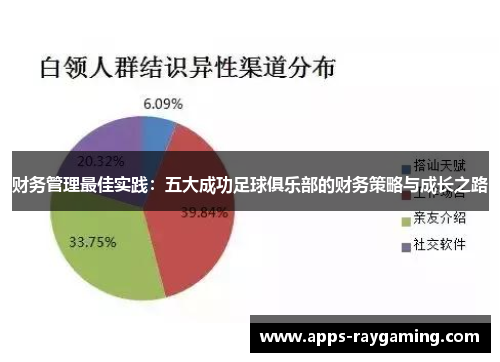 财务管理最佳实践：五大成功足球俱乐部的财务策略与成长之路