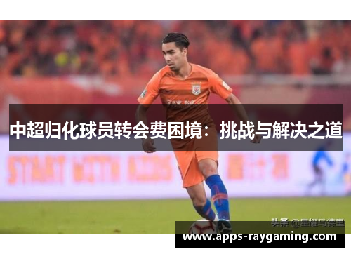 中超归化球员转会费困境：挑战与解决之道
